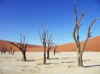 Deadvlei - gruppo