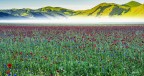 Colori e foschia..