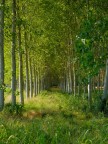 Parco del Ticino #5
