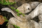 Piccoli angoli di poesia