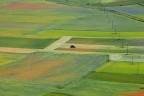 Piana di Castelluccio