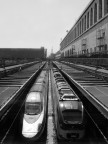 Termini