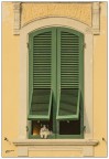 Curiosit...