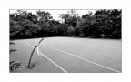 Wimbledon