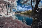 Adda Dream