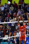 Volley: Papi