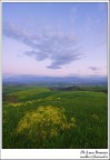 alba