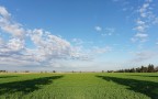 Campo,con le nuvole /2
