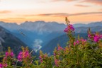 dolomiti