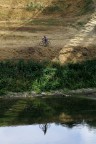Riflesso