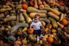 Chi l'ha detto che i bambini nascono sotto i cavoli?