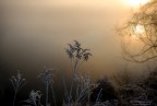 Frozen 1