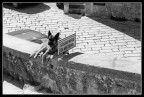 souvenirs di Matera