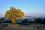 Cos, in una passeggiata serale di fine settembre... colpito dalla luce...