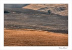 Commenti e critiche ben accetti