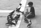 Piccioni