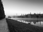 Nebbia