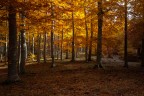 autunno