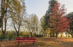 Giardini d'autunno..2