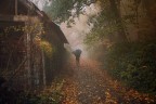 Passi nella Nebbia