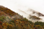 Autumn vibes