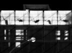 scenario urbano