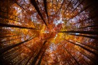 cupola autunnale