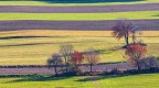 Sono stato ispirato da una foto di Franco Fontana