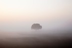semplicemente alba...