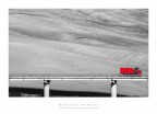 il camion rosso
