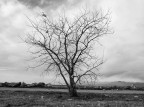 Autunno