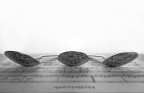 Riflessi Musicali