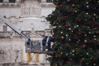 L'Albero
