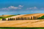 Paesaggio Monferrino(atipico) Paesaggio Monferrino(atipico)