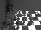 Avrei voluto evidenziare il pathos dell'assedio attraverso un'inquadratura speciale... ma non ci sono riuscita.
Ci ho provato lavorandoci un po'. Mi sembra che questo b/n estremo (si pu dire cos?) possa in qualche modo sostituire un rosso a tinte forti.