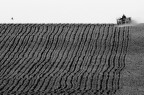 farm lines