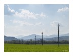 Campagna marchigiana