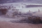 Frog Frost and Fantasy 2