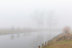Morbidi riflessi nella nebbia della Bassa Bolognese