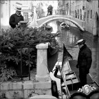 Venezia