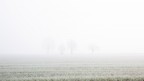 Atmosfera invernale nella Bassa Bolognese