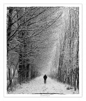 dentro il viale...