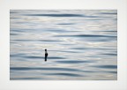 La bouteille  la mer