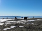 Foto scattata con Drone Mavic3
