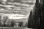 Casolare a CastelMartini