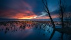 Blue hour
