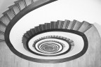 Vortice