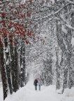 due passi sotto la nevicata...