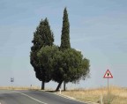 Differenze tra uguali