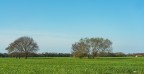Un mare di Verde..